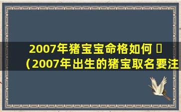 2007年猪宝宝命格如何 ☘ （2007年出生的猪宝取名要注意哪些）